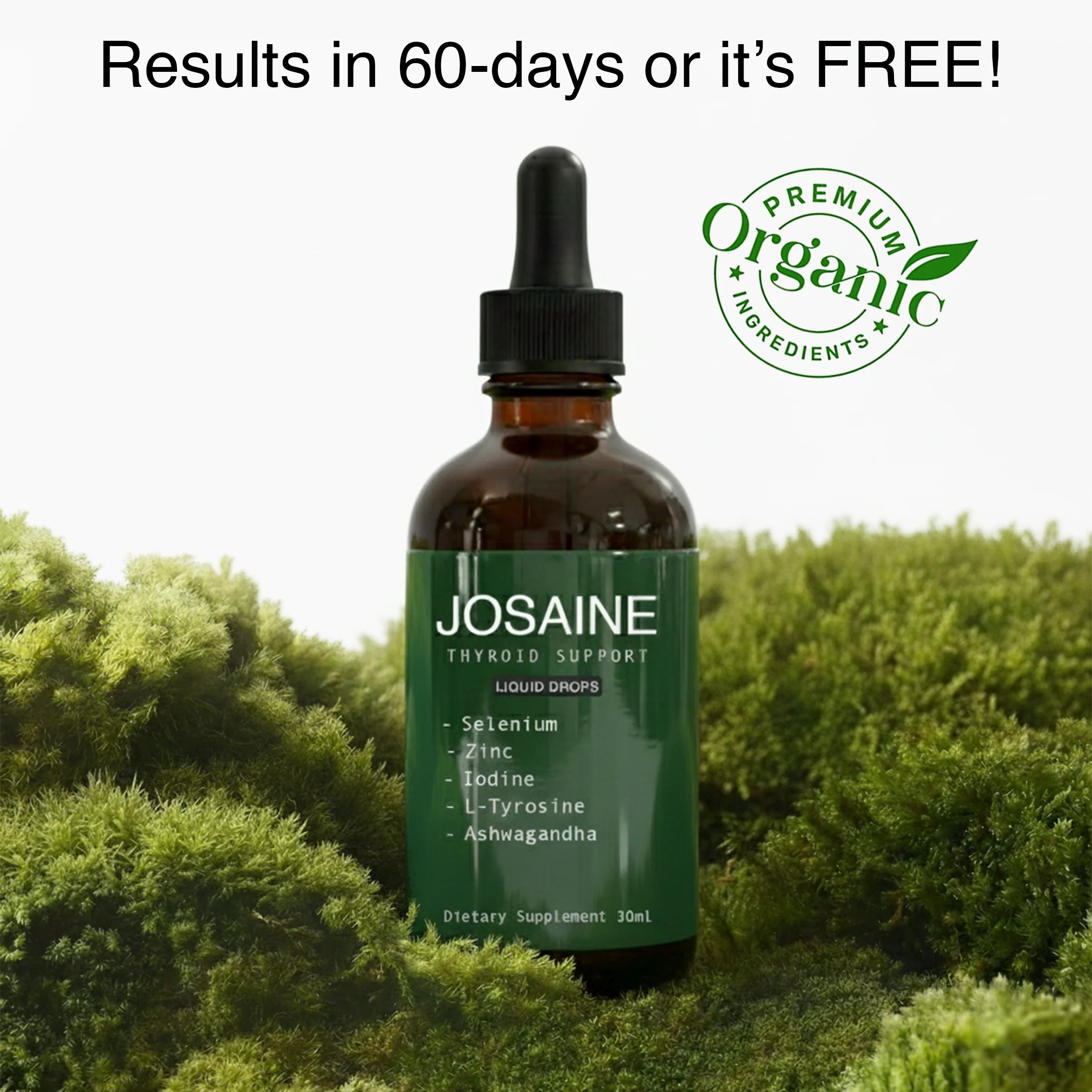 Thyroid Support Collection